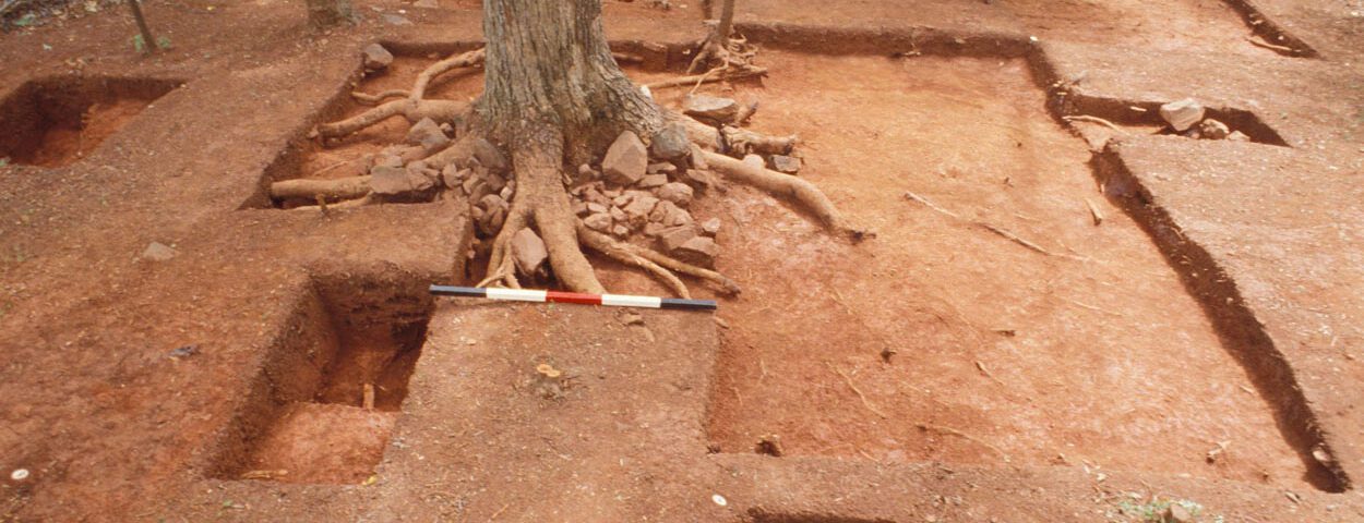 Post excavation photograph of the Elizabeth Hemings site showing cleared red clay with excavation units dug into it and a tree in the center
