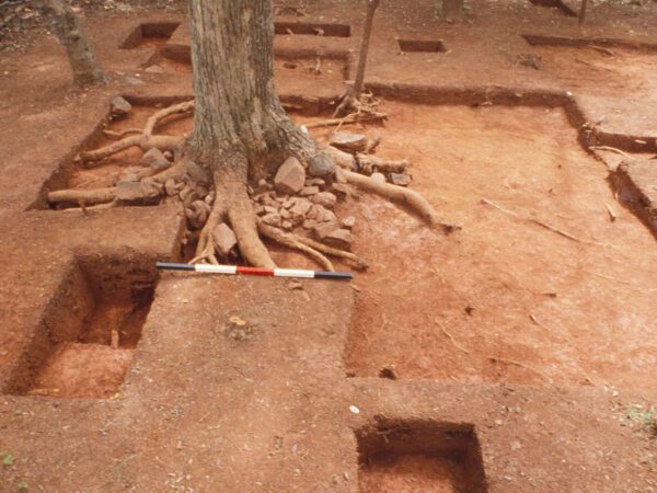Post excavation photograph of the Elizabeth Hemings site showing cleared red clay with excavation units dug into it and a tree in the center