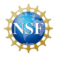 NFS Logo